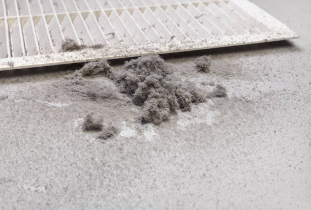 Best Commercial Air Duct Cleaning  in Sherman, TX