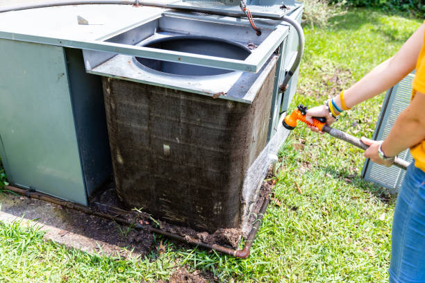 Best Air Duct Sanitizing Services  in Sherman, TX